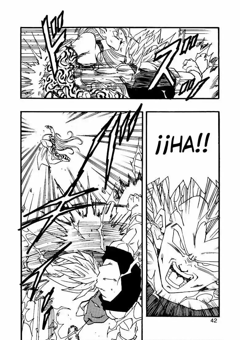 Dragon Ball Full Color - Capítulo 10 - Página 43 - LectorTMOo