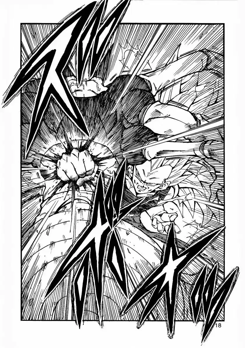 Dragon Ball Full Color - Capítulo 11 - Página 19 - LectorTMOo