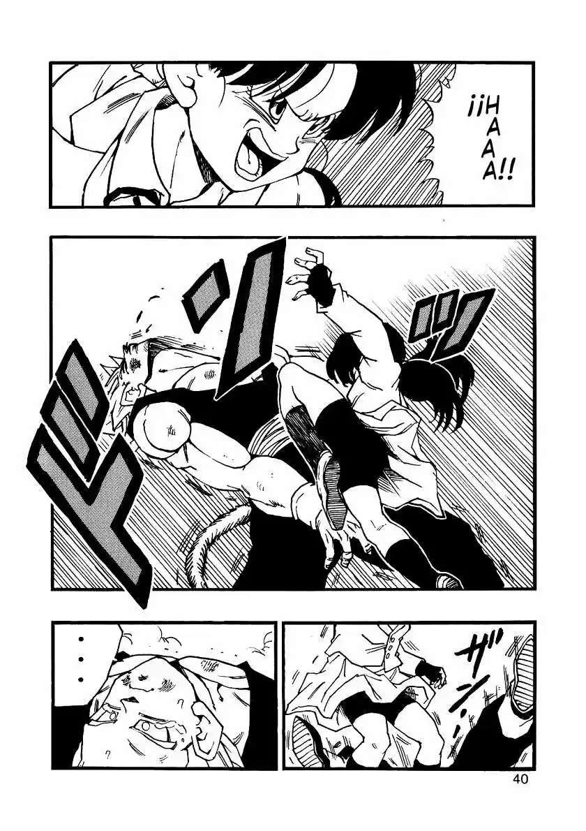 Dragon Ball Full Color - Capítulo 11 - Página 41 - LectorTMOo