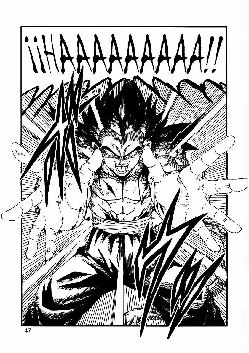 Dragon Ball Full Color - Capítulo 11 - Página 48 - LectorTMOo