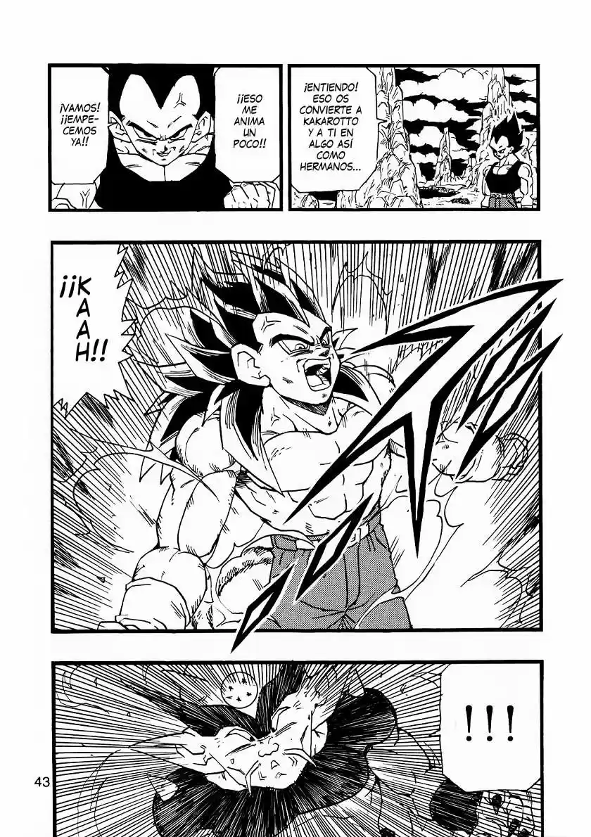 Dragon Ball Full Color - Capítulo 13 - Página 44 - LectorTMOo