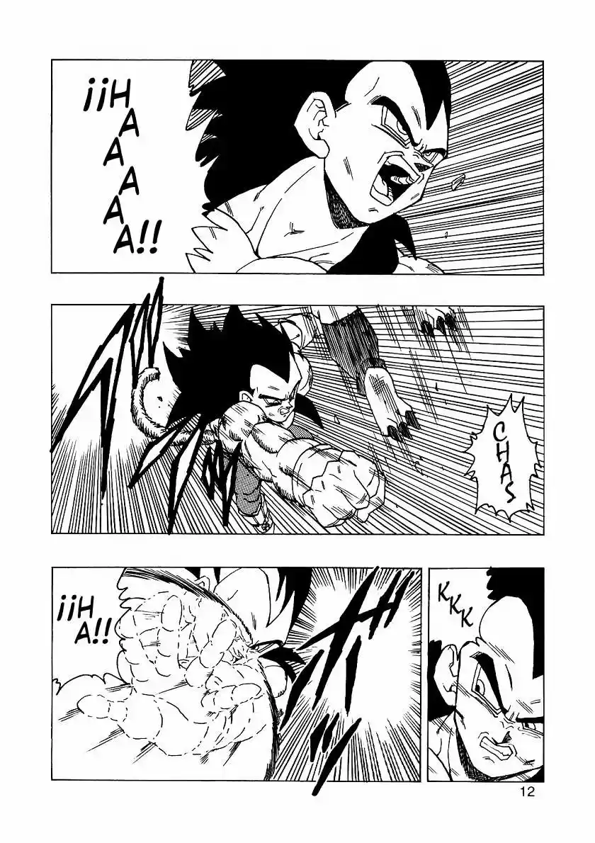 Dragon Ball Full Color - Capítulo 14 - Página 13 - LectorTMOo