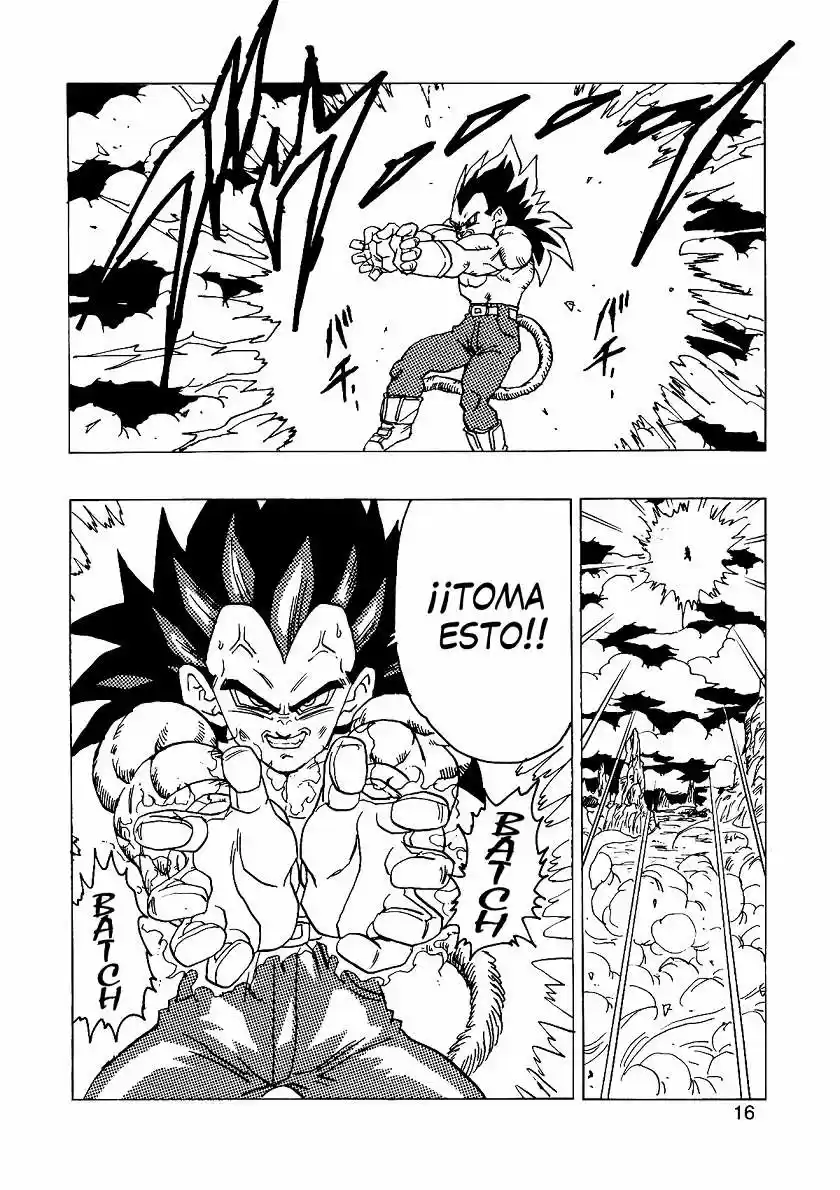 Dragon Ball Full Color - Capítulo 14 - Página 17 - LectorTMOo