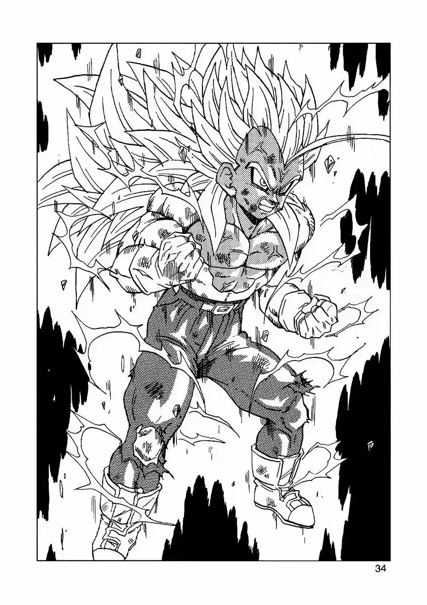 Dragon Ball Full Color - Capítulo 14 - Página 35 - LectorTMOo
