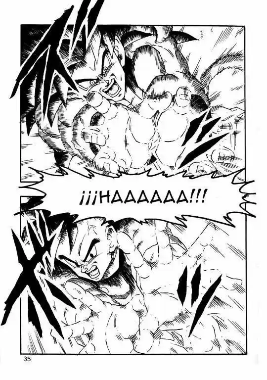 Dragon Ball Full Color - Capítulo 5 - Página 35 - LectorTMOo