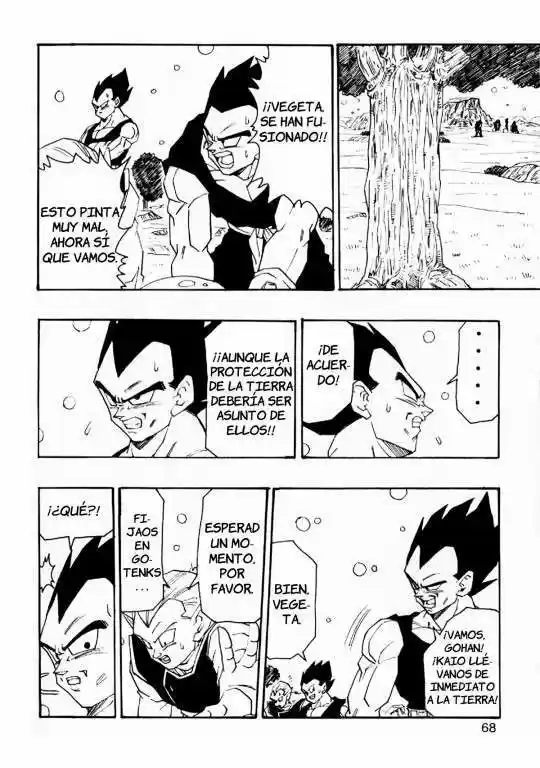Dragon Ball Full Color - Capítulo 5 - Página 68 - LectorTMOo