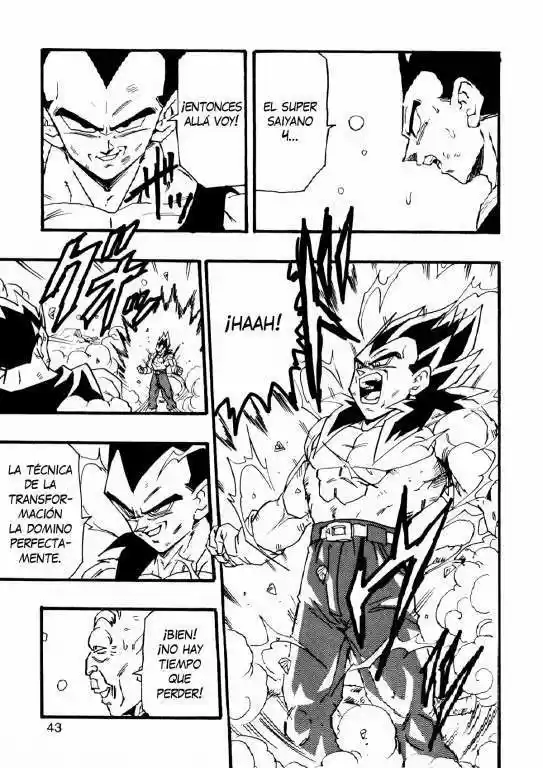 Dragon Ball Full Color - Capítulo 6 - Página 43 - LectorTMOo