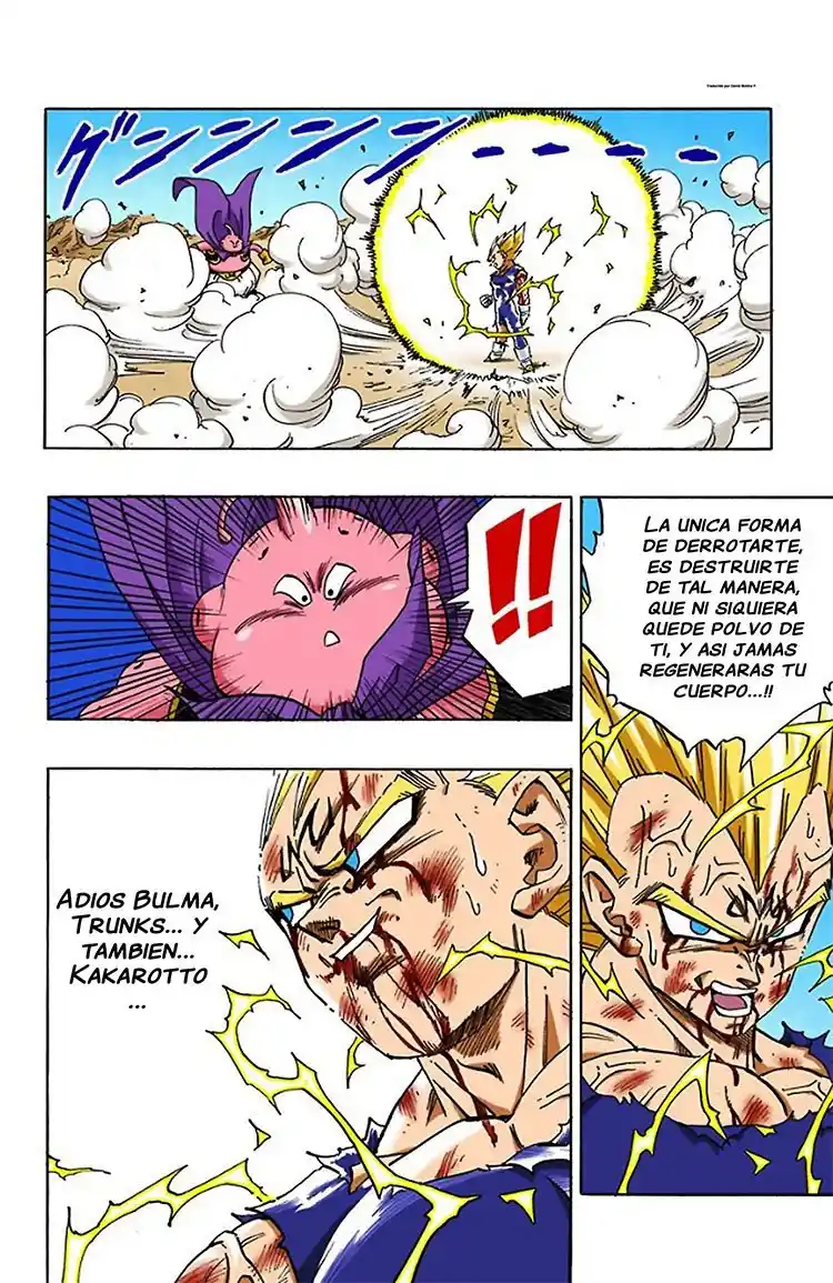 Dragon Ball Full Color - Capítulo 467 - Página 10 - LectorTMOo