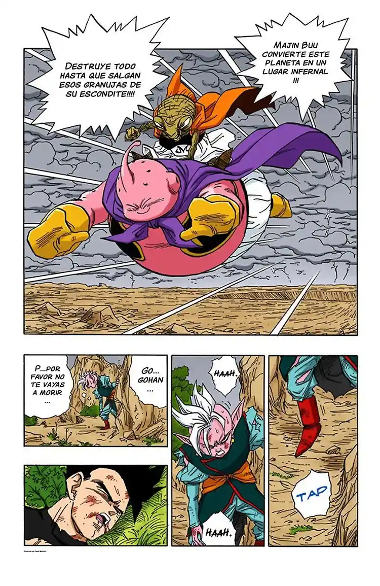 Dragon Ball Full Color - Capítulo 468 - Página 13 - LectorTMOo