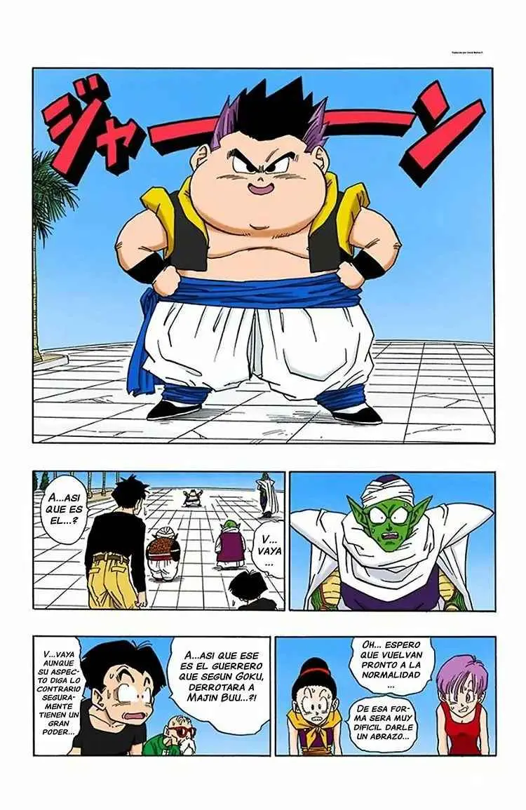 Dragon Ball Full Color - Capítulo 480 - Página 5 - LectorTMOo