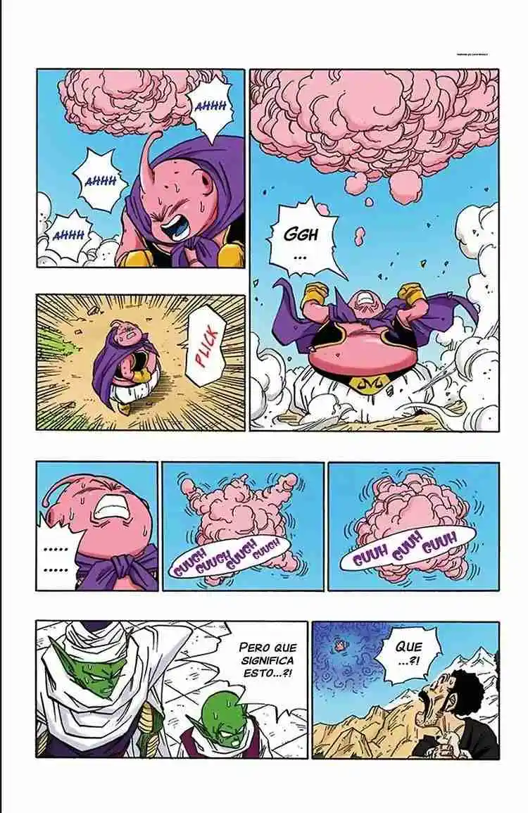 Dragon Ball Full Color - Capítulo 484 - Página 13 - LectorTMOo