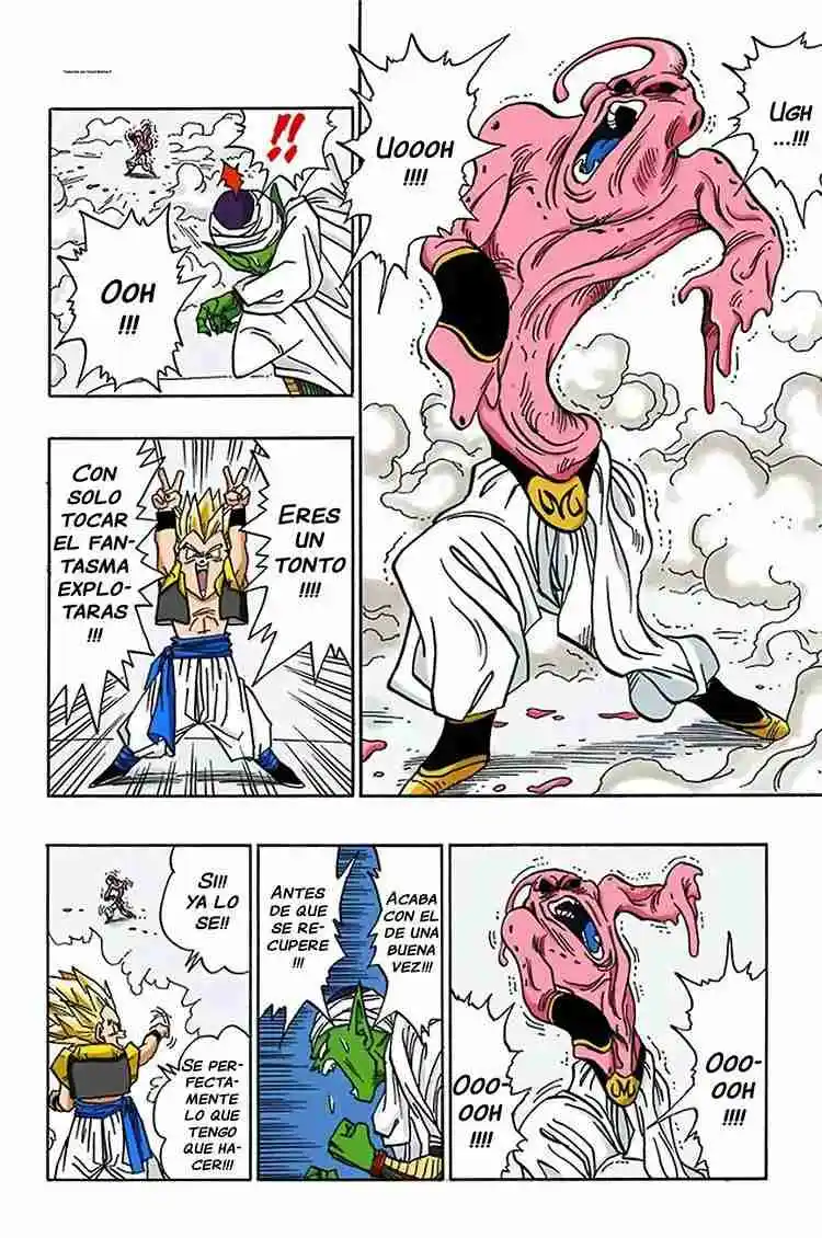Dragon Ball Full Color - Capítulo 491 - Página 4 - LectorTMOo