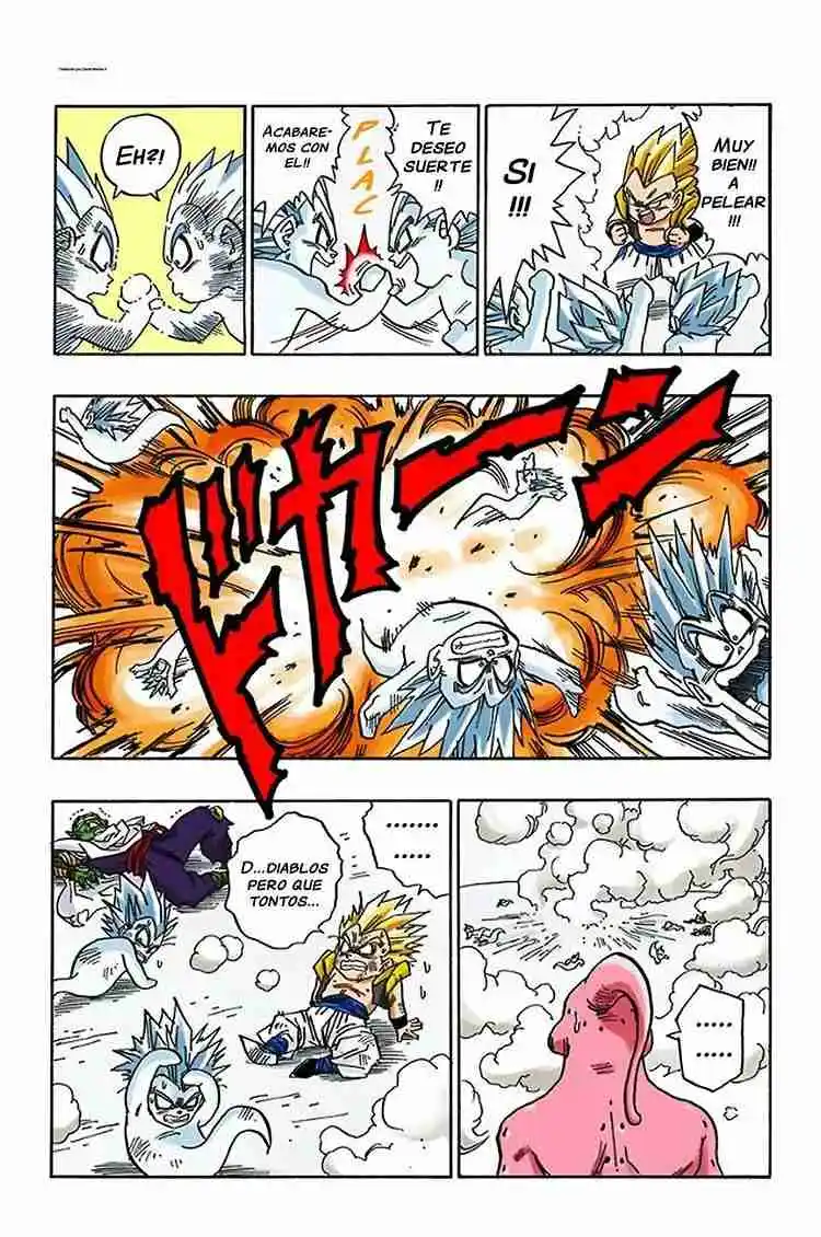 Dragon Ball Full Color - Capítulo 491 - Página 10 - LectorTMOo
