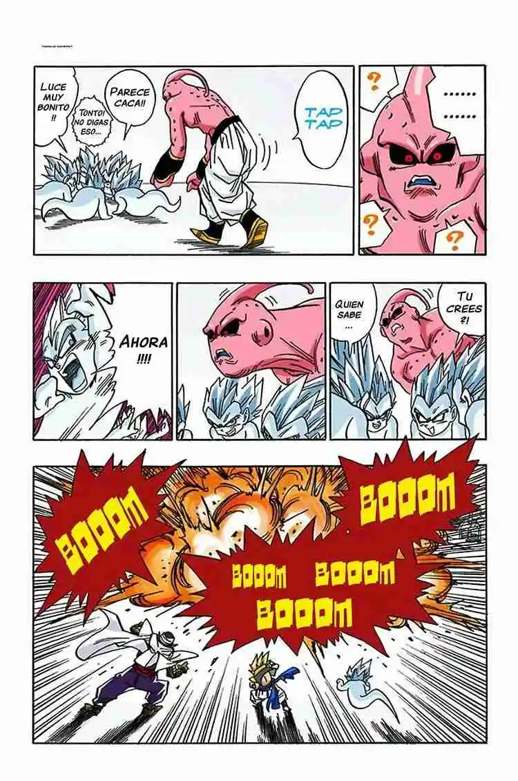 Dragon Ball Full Color - Capítulo 491 - Página 12 - LectorTMOo