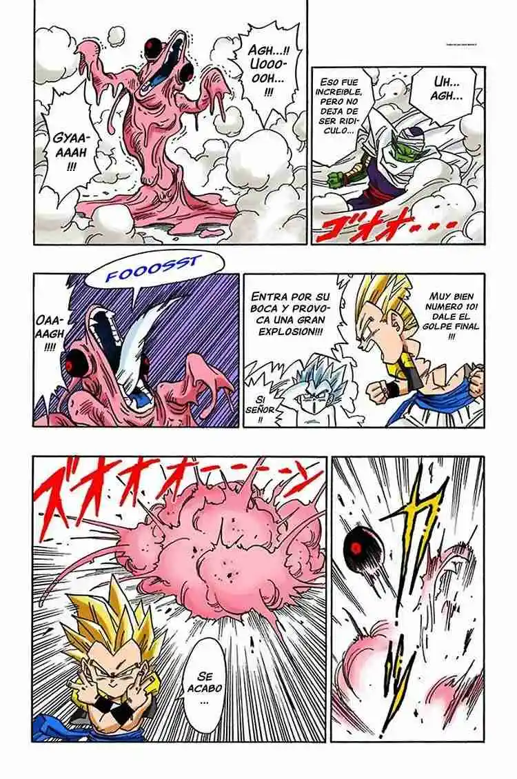 Dragon Ball Full Color - Capítulo 491 - Página 13 - LectorTMOo