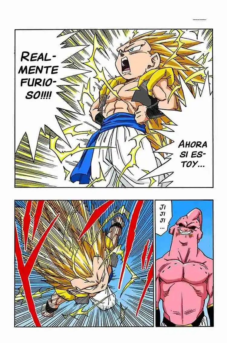 Dragon Ball Full Color - Capítulo 493 - Página 13 - LectorTMOo