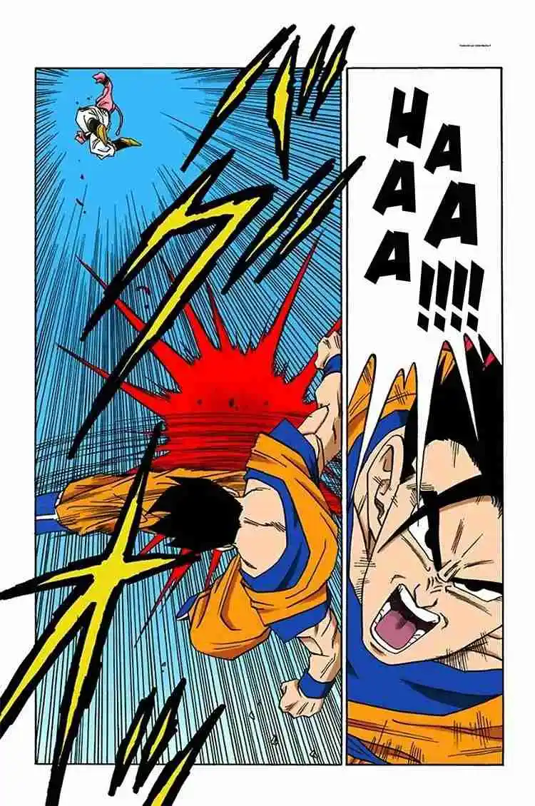 Dragon Ball Full Color - Capítulo 497 - Página 11 - LectorTMOo