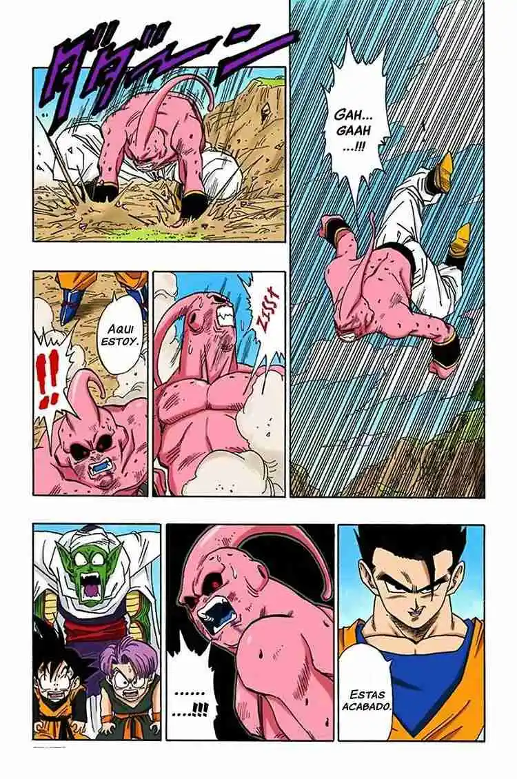 Dragon Ball Full Color - Capítulo 497 - Página 13 - LectorTMOo