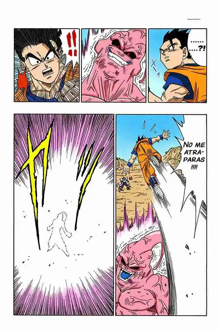 Dragon Ball Full Color - Capítulo 498 - Página 4 - LectorTMOo