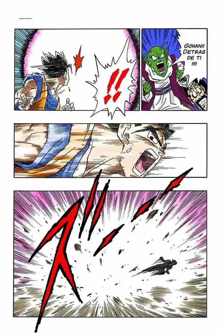 Dragon Ball Full Color - Capítulo 500 - Página 5 - LectorTMOo