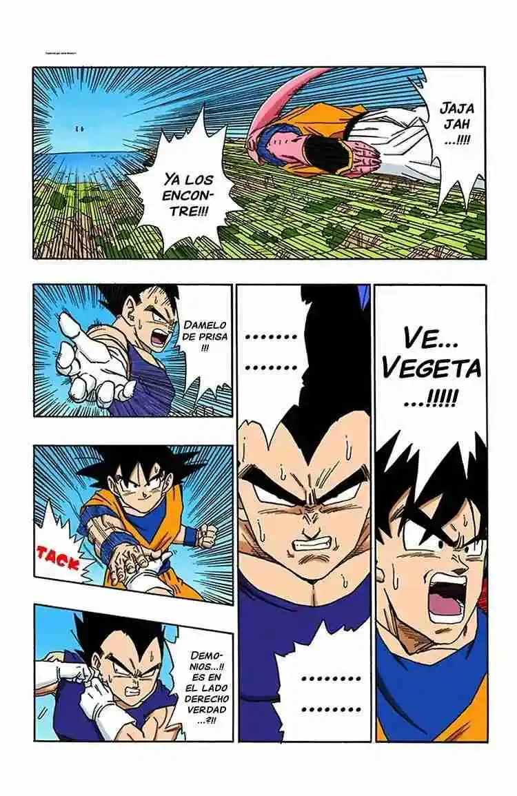 Dragon Ball Full Color - Capítulo 503 - Página 13 - LectorTMOo
