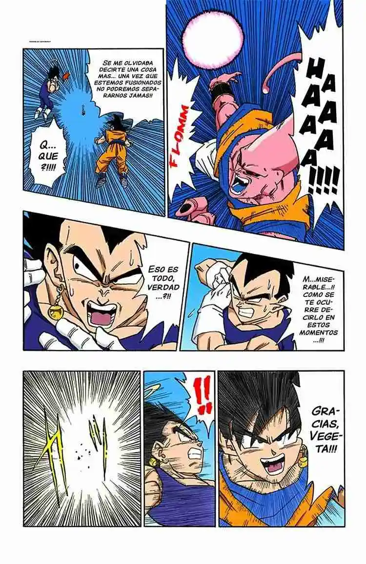 Dragon Ball Full Color - Capítulo 503 - Página 14 - LectorTMOo
