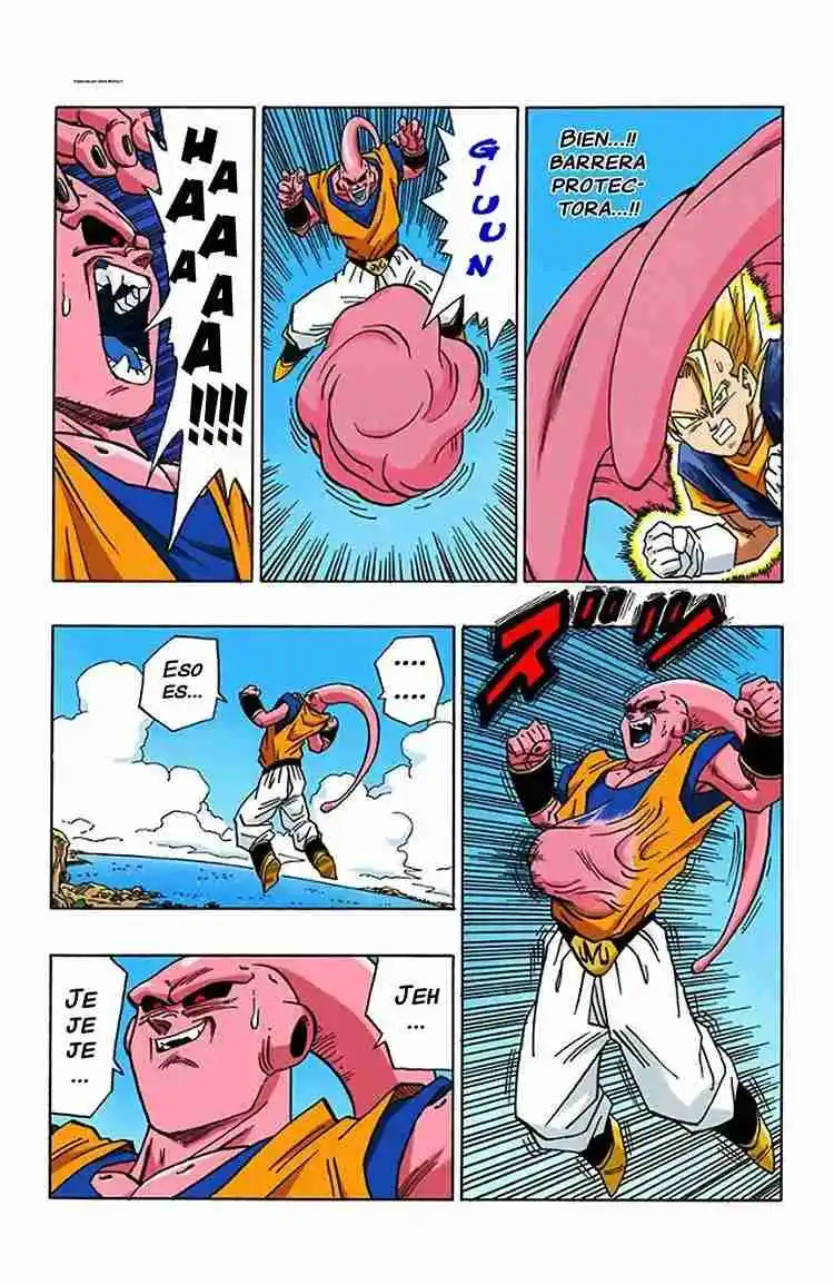 Dragon Ball Full Color - Capítulo 505 - Página 13 - LectorTMOo