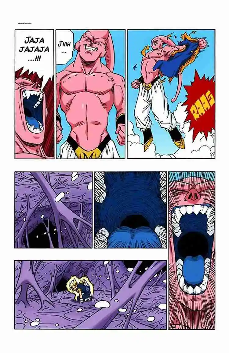 Dragon Ball Full Color - Capítulo 506 - Página 4 - LectorTMOo
