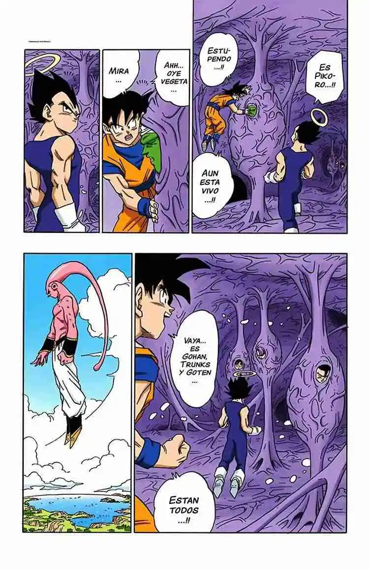 Dragon Ball Full Color - Capítulo 506 - Página 9 - LectorTMOo