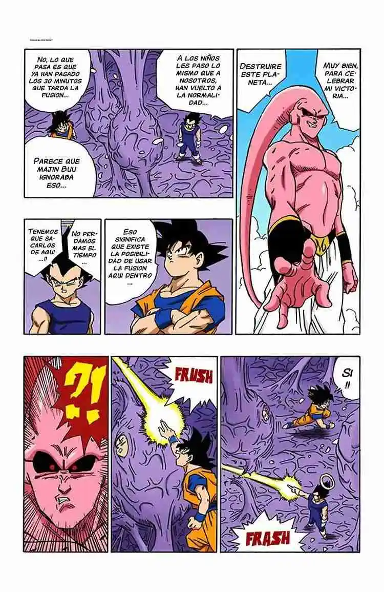 Dragon Ball Full Color - Capítulo 506 - Página 10 - LectorTMOo