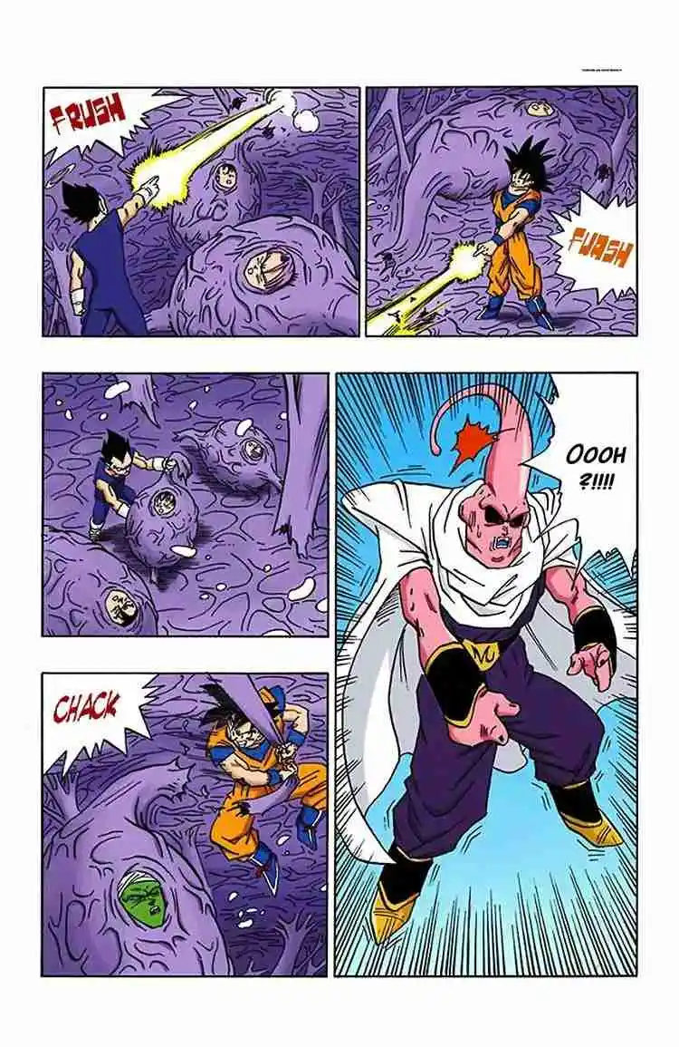 Dragon Ball Full Color - Capítulo 506 - Página 11 - LectorTMOo