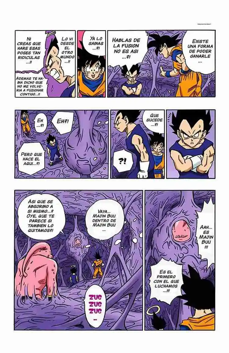 Dragon Ball Full Color - Capítulo 506 - Página 13 - LectorTMOo