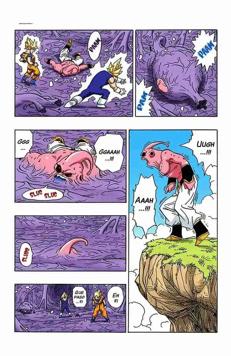 Dragon Ball Full Color - Capítulo 507 - Página 9 - LectorTMOo
