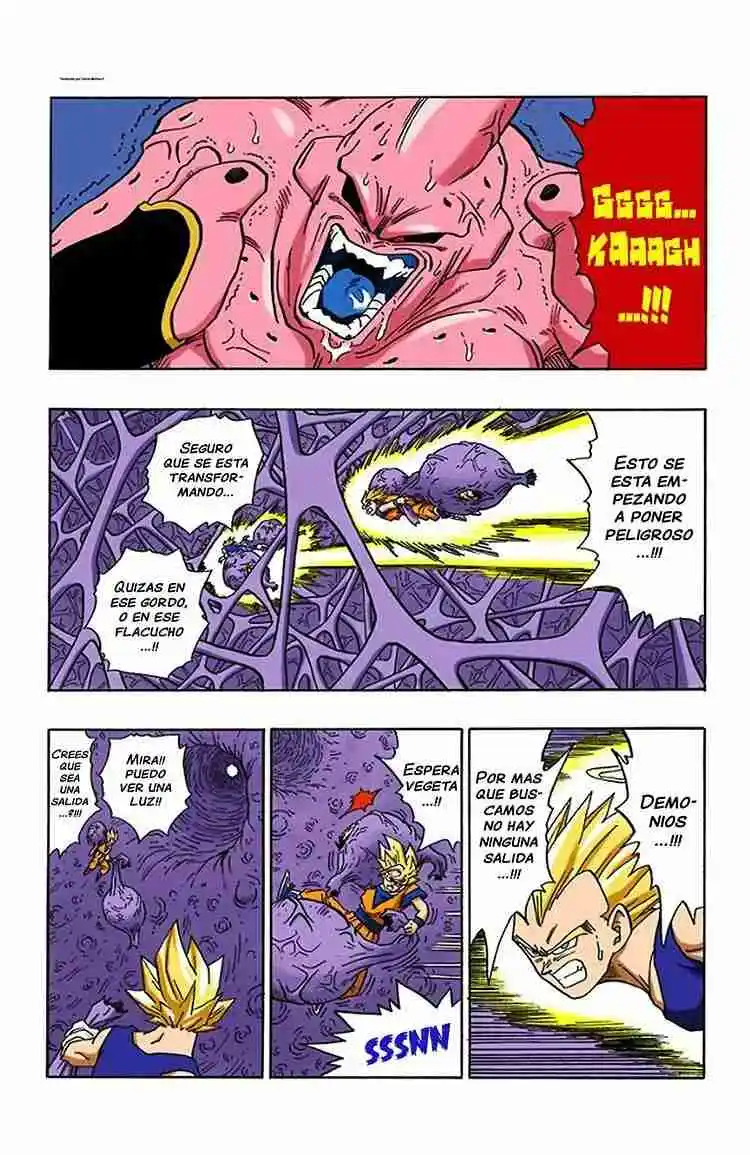 Dragon Ball Full Color - Capítulo 507 - Página 11 - LectorTMOo