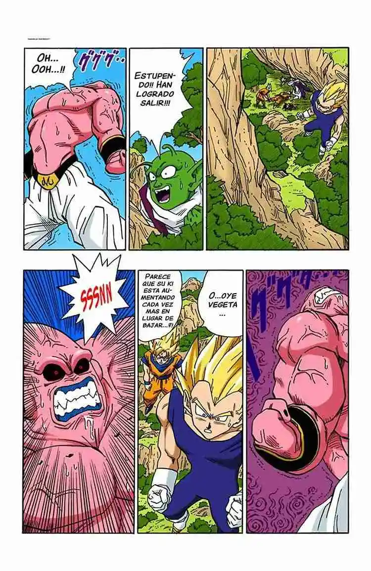 Dragon Ball Full Color - Capítulo 507 - Página 13 - LectorTMOo