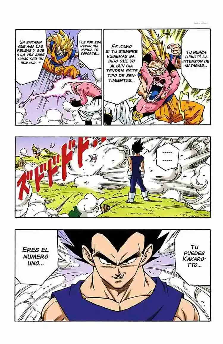 Dragon Ball Full Color - Capítulo 510 - Página 9 - LectorTMOo