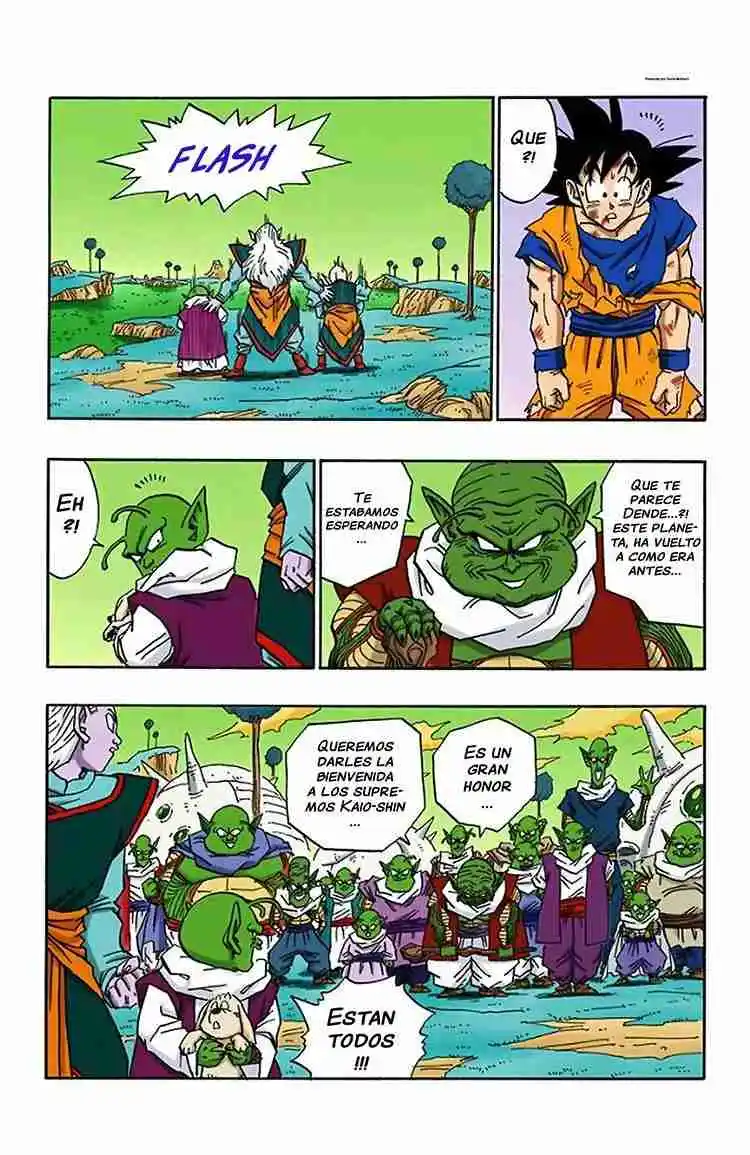 Dragon Ball Full Color - Capítulo 513 - Página 8 - LectorTMOo