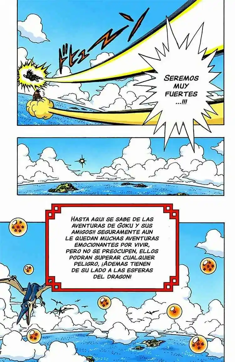 Dragon Ball Full Color - Capítulo 519 - Página 19 - LectorTMOo