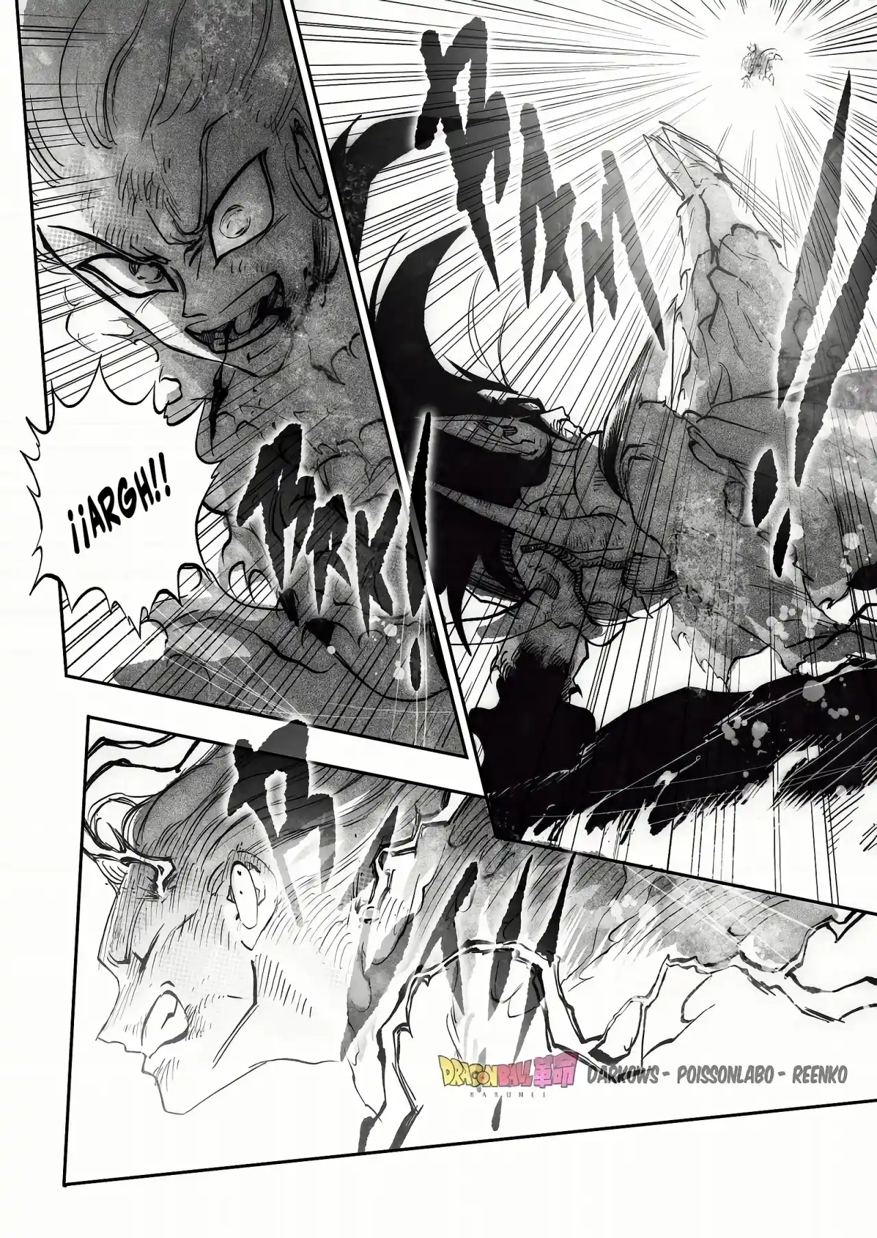 Dragon Ball Kakumei - FanMade - Capítulo 23 - Página 24 - LectorTMOo