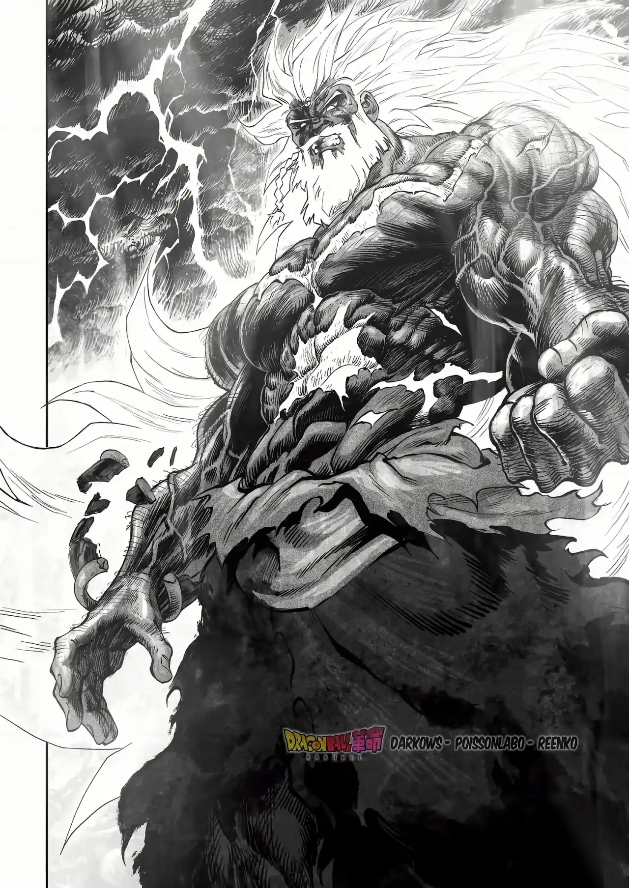 Dragon Ball Kakumei - FanMade - Capítulo 24 - Página 10 - LectorTMOo
