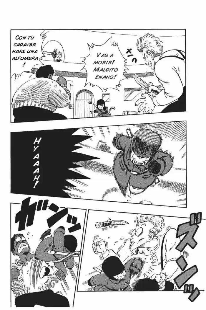 Dragon Ball Kanzenban - Capítulo 58 - Página 5 - LectorTMOo