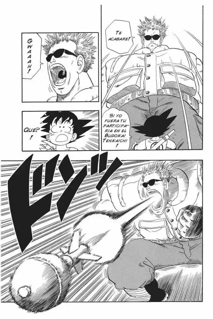 Dragon Ball Kanzenban - Capítulo 59 - Página 6 - LectorTMOo