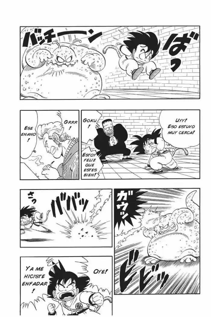 Dragon Ball Kanzenban - Capítulo 64 - Página 12 - LectorTMOo