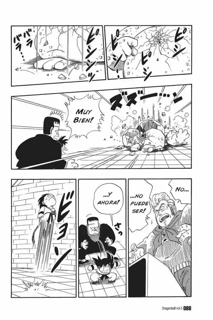 Dragon Ball Kanzenban - Capítulo 65 - Página 11 - LectorTMOo