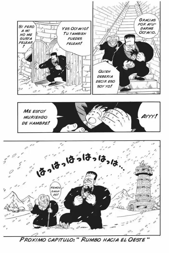 Dragon Ball Kanzenban - Capítulo 66 - Página 14 - LectorTMOo