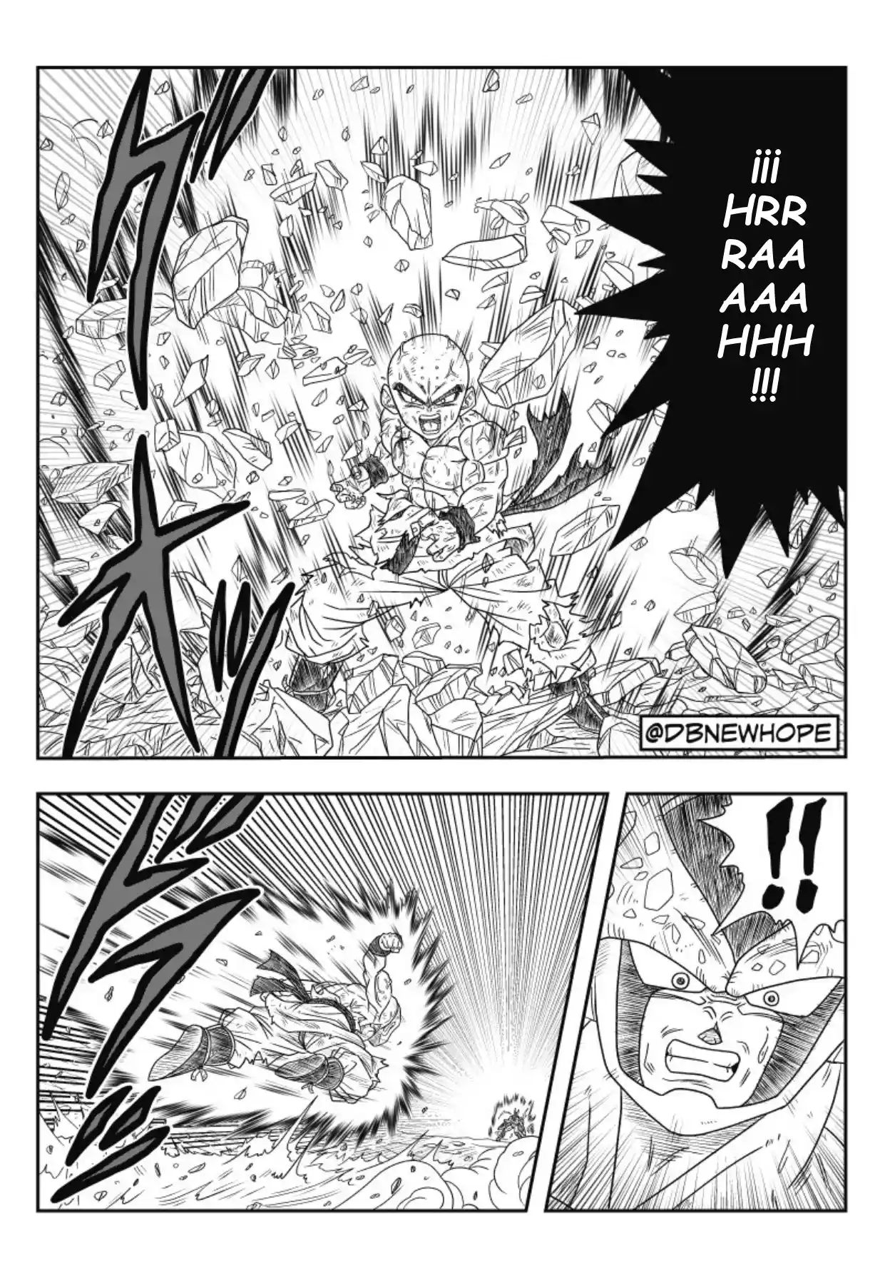 Dragon Ball New Hope - Capítulo 8 - Página 13 - LectorTMOo