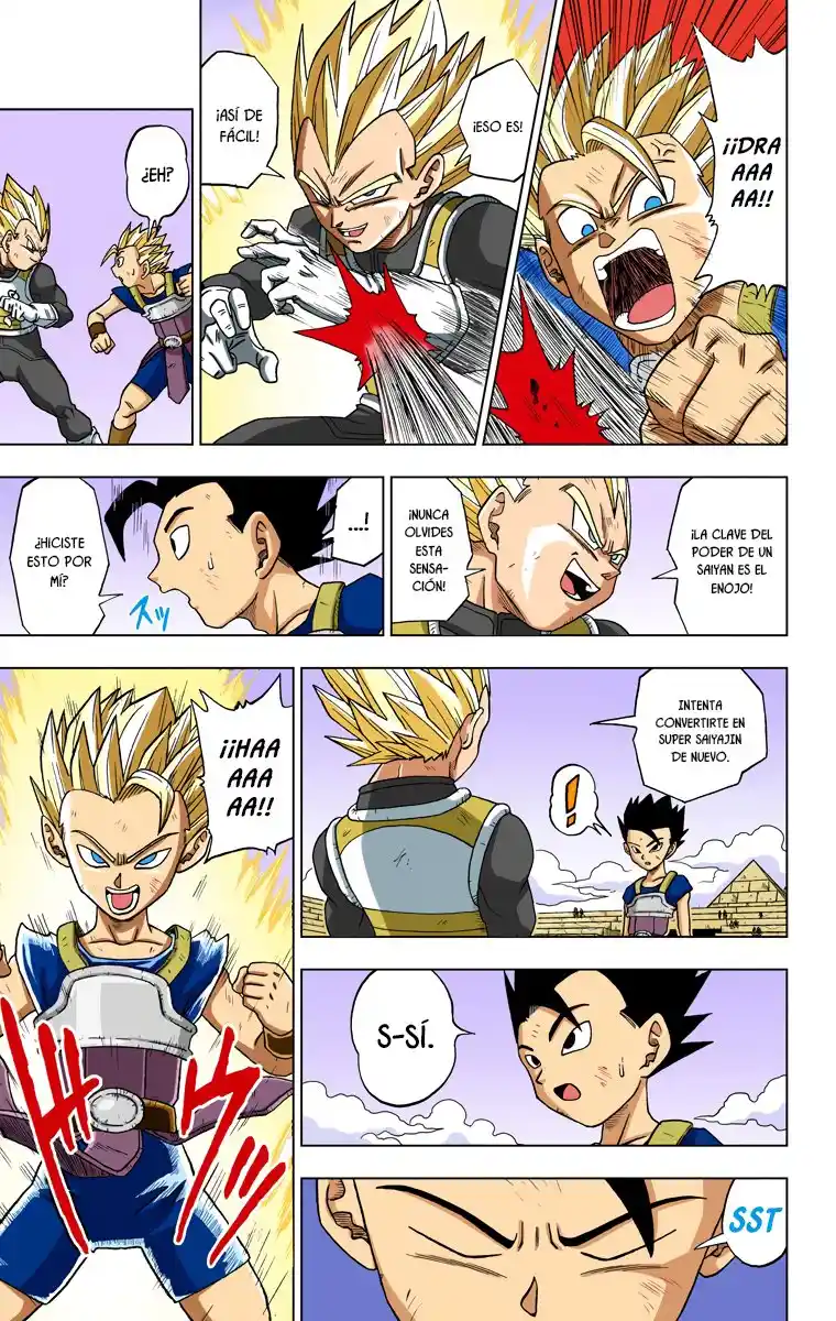 Dragon Ball Super Full Color - Capítulo 12 - Página 13 - LectorTMOo