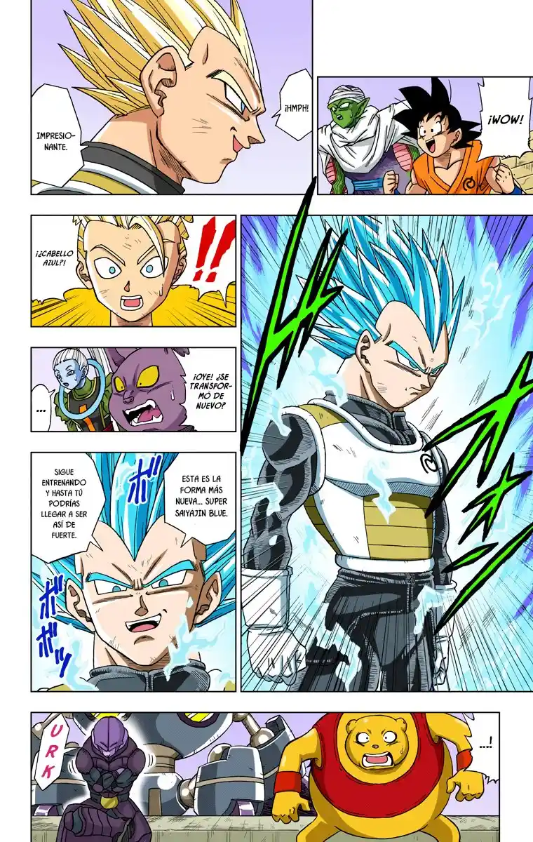 Dragon Ball Super Full Color - Capítulo 12 - Página 14 - LectorTMOo