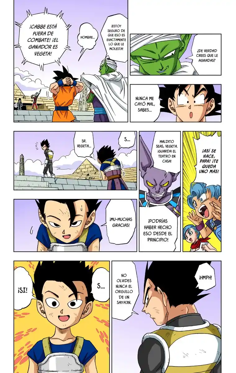 Dragon Ball Super Full Color - Capítulo 12 - Página 16 - LectorTMOo