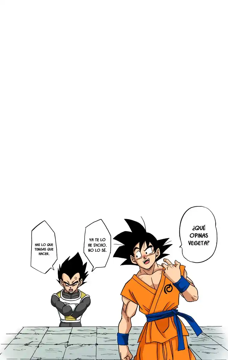 Dragon Ball Super Full Color - Capítulo 12 - Página 32 - LectorTMOo